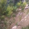 sarahabraham257